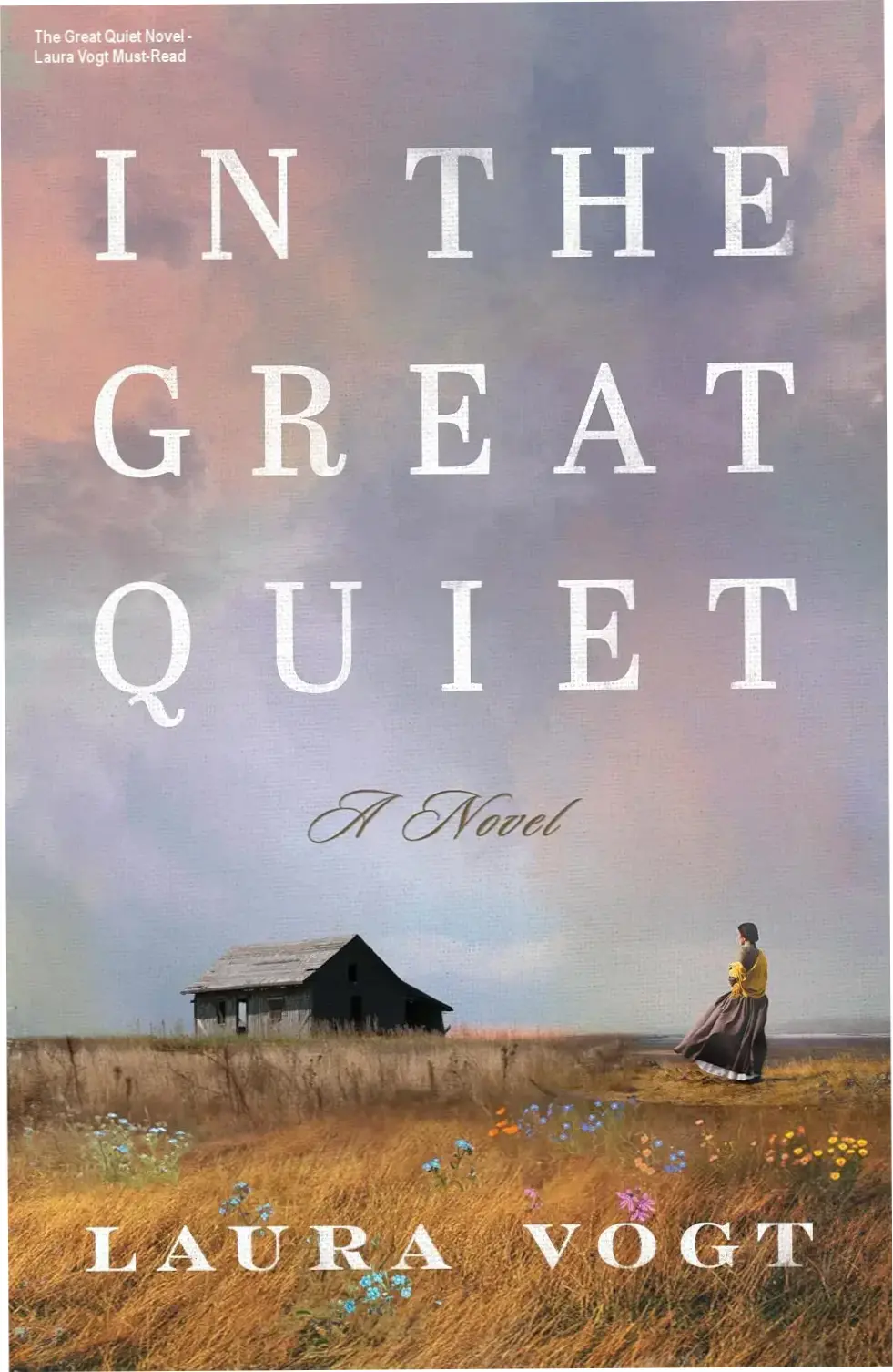 Cover illustration depicting a woman standing defiantly at sunset in frontier wilderness with outlaw shadows