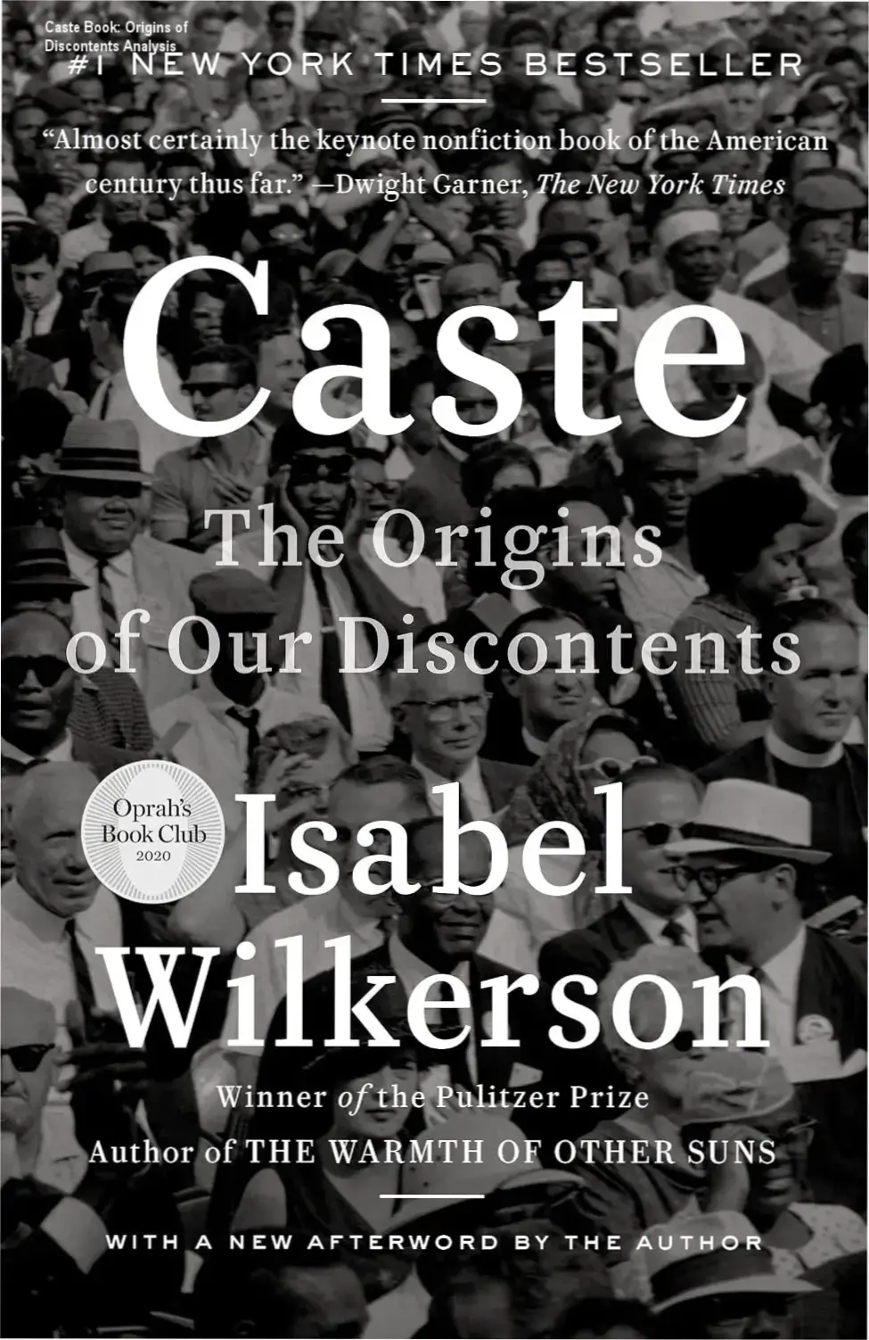 E-book cover of 'Caste: The Origins of Our Discontents'