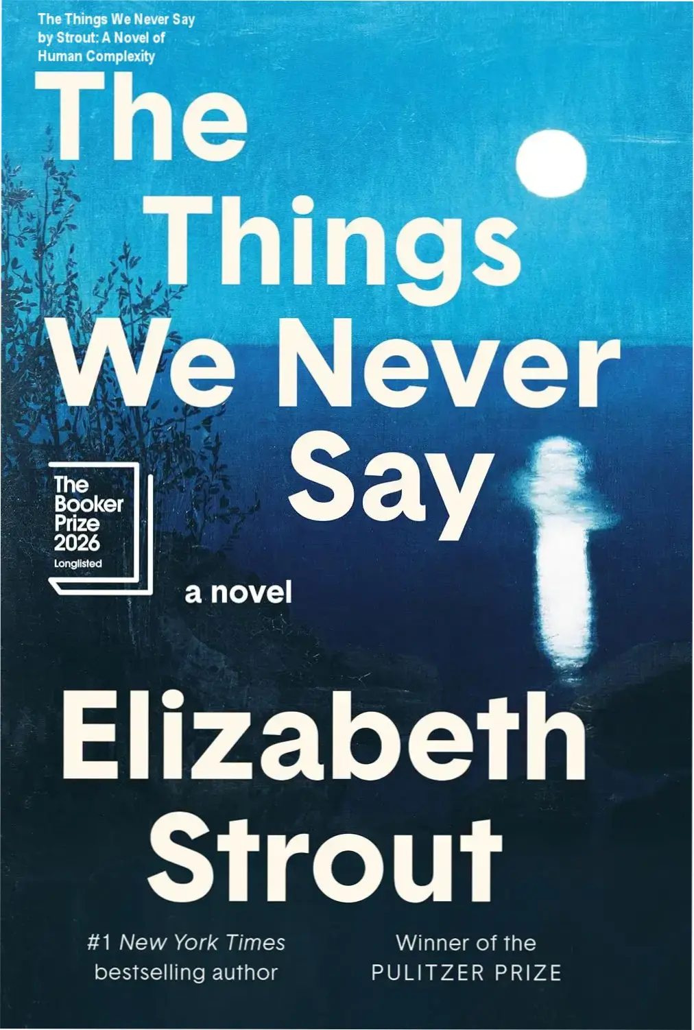 Book cover art for The Things We Never Say by Elizabeth Strout, highlighting its emotional themes of human connection.