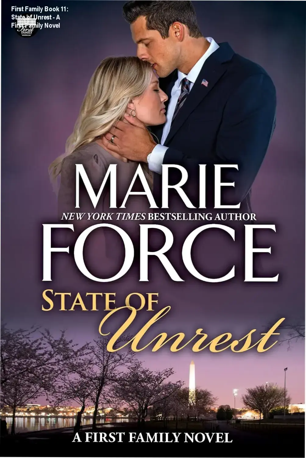 Cover art for First Family Book 11 depicting stormy skies and characters from the political drama.