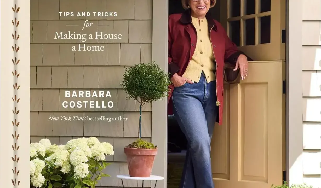 Cover of Homemaking with Babs book detailing professional home organization tips