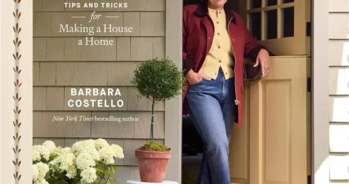 Cover of Homemaking with Babs book detailing professional home organization tips