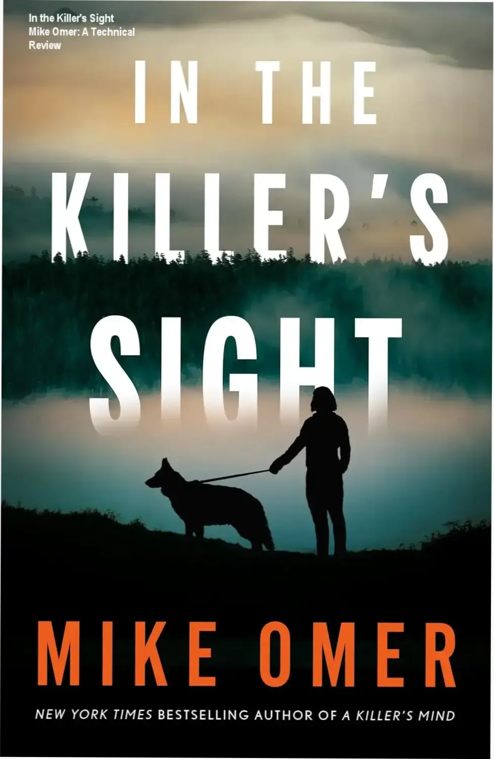 Cover art for the Kindle edition of In the Killer's Sight by Mike Omer featuring atmospheric thriller elements