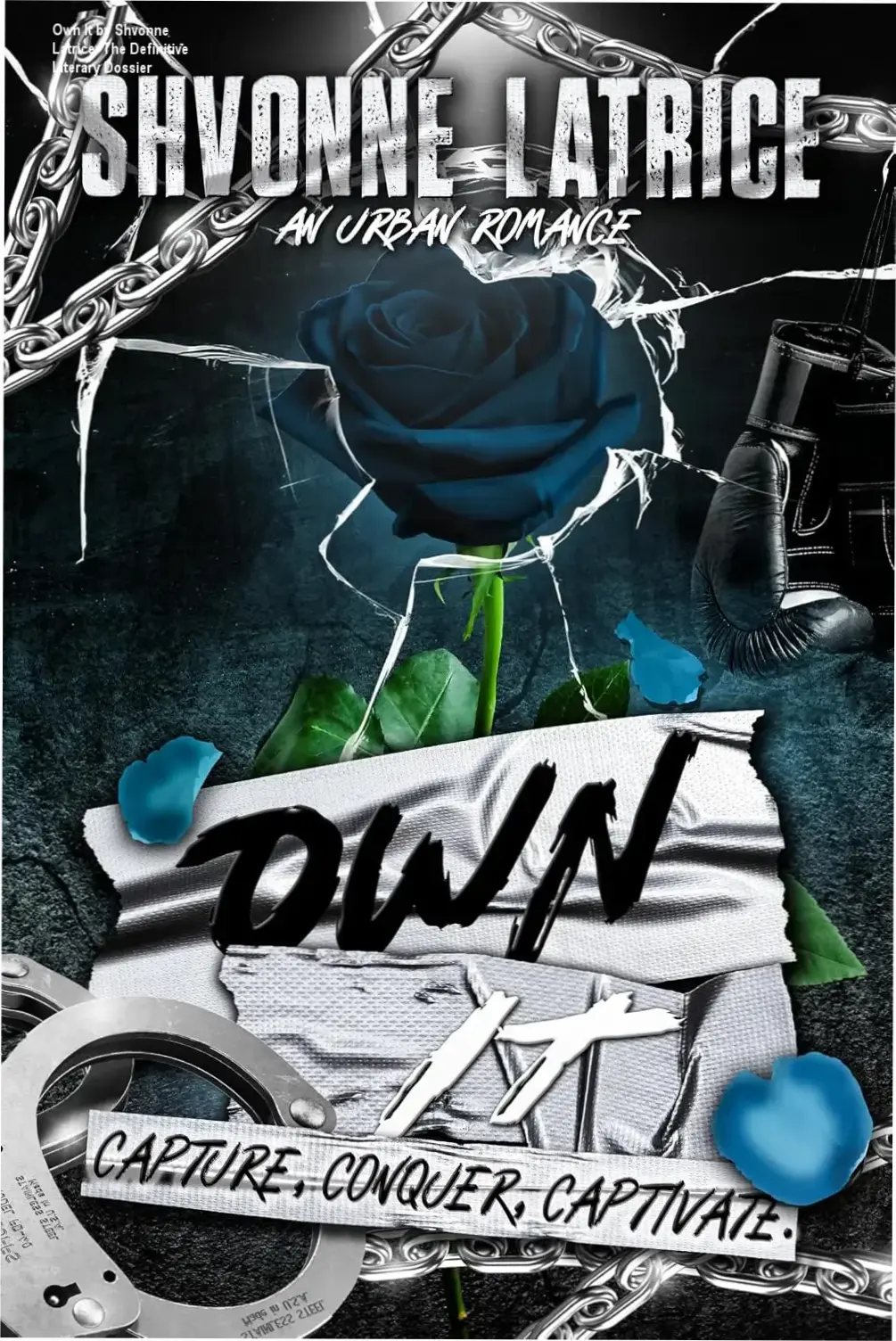 Digital cover of Own It: An Urban Romance by Shvonne Latrice for literary analysis
