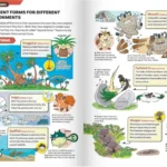 An illustrated guide showcasing the ecological behaviors and habitats of various Pokémon