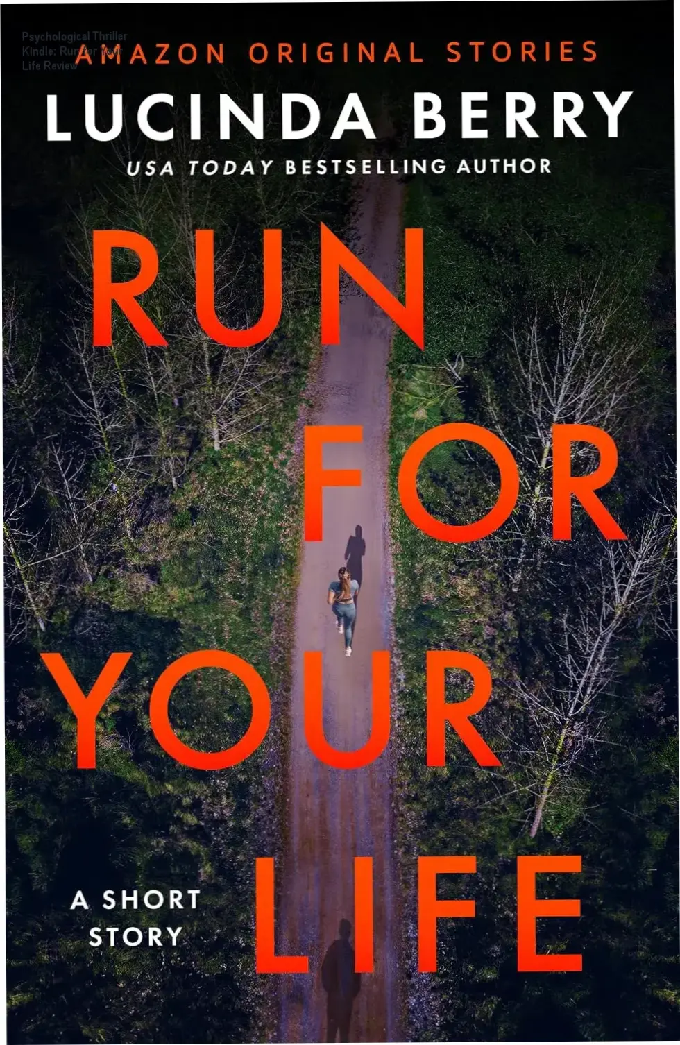 Digital cover art of Run for Your Life: A Short Story by Lucinda Berry showing intense imagery with suspenseful colors.