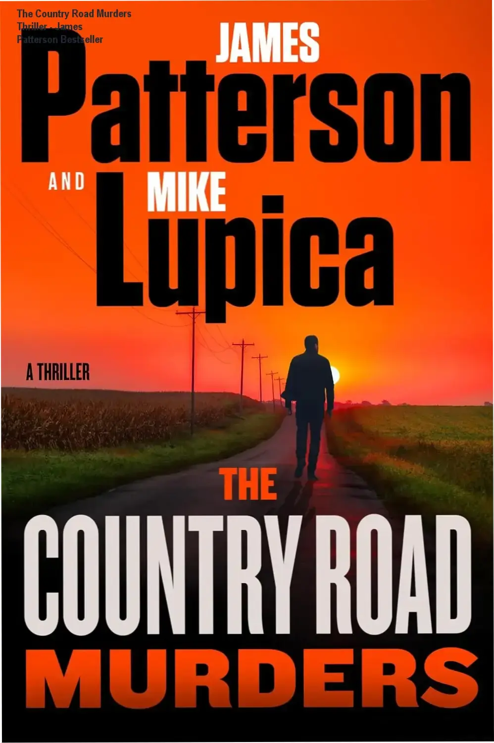 A book cover with a stormy road and a football star's haunted expression, symbolizing suspense and family drama.