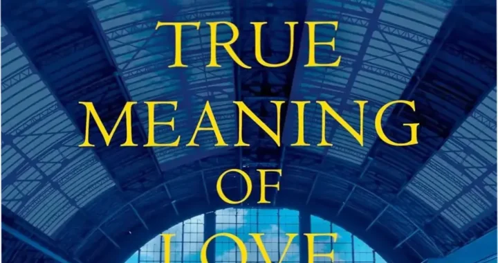 Cover of The True Meaning of Love by Danielle Steel highlighting wartime resilience