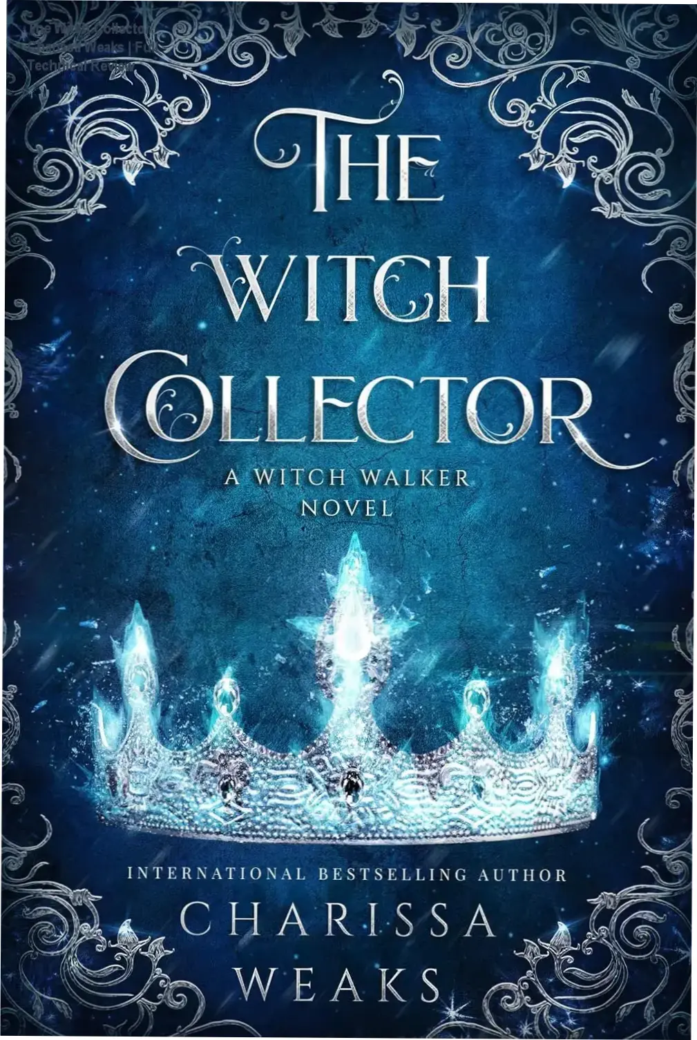 Cover art and aesthetic representation of The Witch Collector by Charissa Weaks ebook