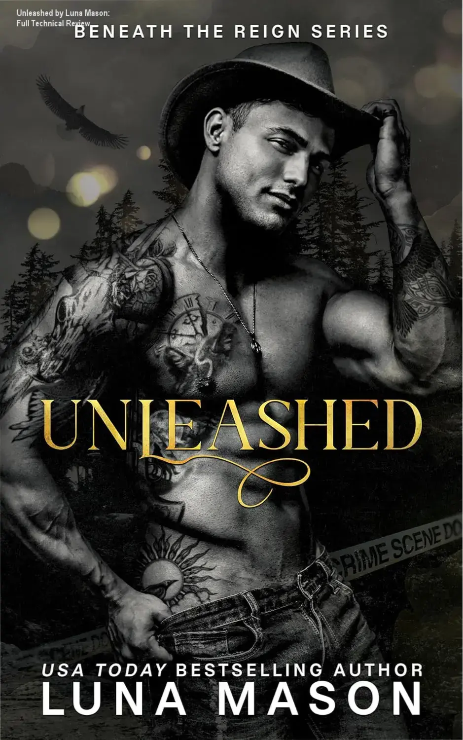 Cover art of Unleashed: A Dark Mafia Cowboy Romance by Luna Mason featuring intense romantic themes