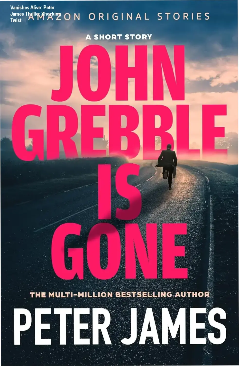 Digital thriller book cover depicting a man's portrait with glitch effects symbolizing identity erasure
